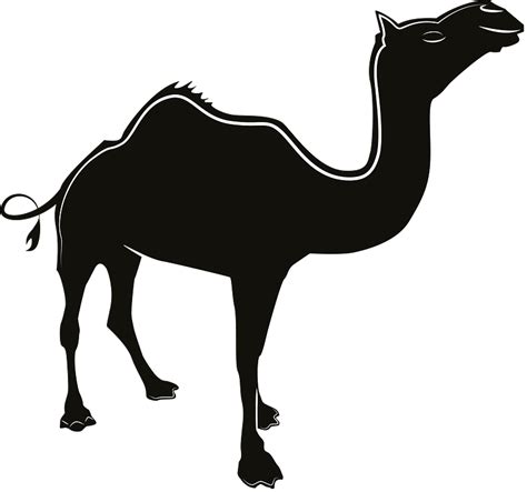 Camel Clipart Free Download Transparent Png Creazilla