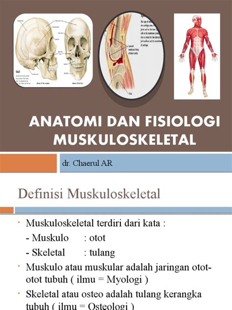 Anatomi Dan Fisiologi Sistem Muskuloskeletal Pdf