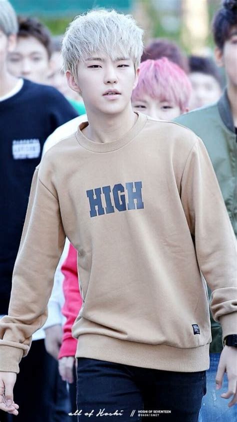 Seventeen Hoshi Complete Profile Facts And Tmi My Xxx Hot Girl