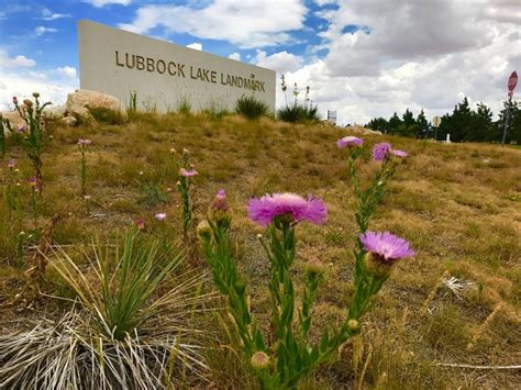 8 Best Things To Do In Lubbock Texas Trips To Discover