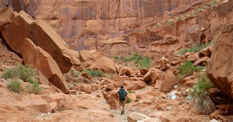 Escalante River Town To Powell Doing Miles