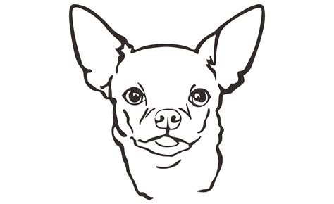 Chihuahua Dog Head Line Art 12981662 Png