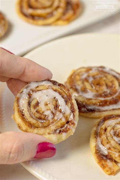 Learning how to make homemade pie crust starts with the ingredients. Cinnamon Sugar Pinwheel Cookies: the best recipe for using ...