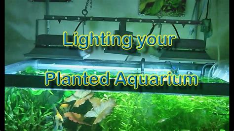 Lighting A Planted Aquarium Youtube