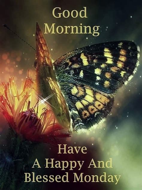 Pretty Butterfly Good Morning Have A Happy And Blessed Monday Pictures Photos And Images