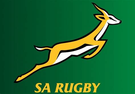 1014 Rugby Springbok Transformation