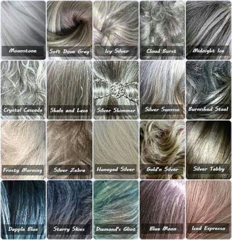 Coloring Gray Hair With Highlights Pics Dadevil Deyyam