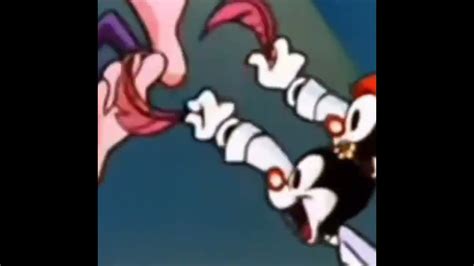 Animaniacs Voice Over Spliced And Looped Youtube