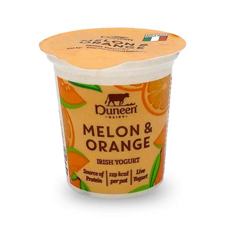 Melon And Orange Fruit Yogurt 125g Duneen Dairy Aldiie