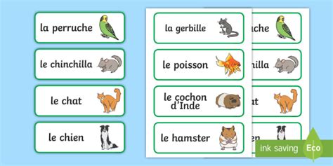 Cartes De Vocabulaire Les Animaux Teacher Made