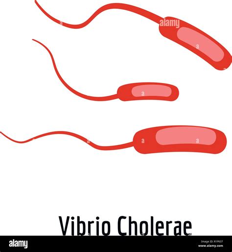 Icono De Vibrio Cholerae Ilustración De Dibujos Animados De Vibrio