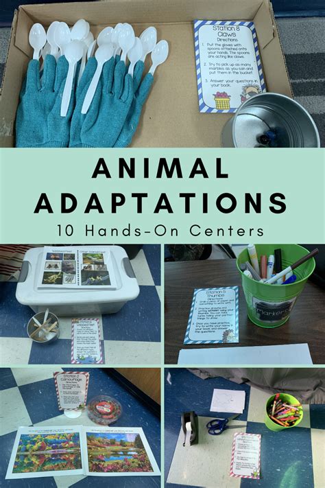 Science Learning Centers Elementary Science Activities Animal