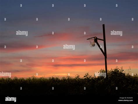 Silhouette Of Basketball Hoop Hi Res Stock Photography And Images Alamy