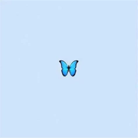 Download Cute Tiny Butterfly Tiktok Profile Picture