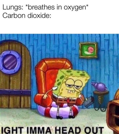 Co2 Leaves Ight Imma Head Out Know Your Meme