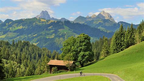 Location, size, and extent topography climate flora and fauna environment population migration ethnic groups languages religions. Belgium allows travel to most of Switzerland again