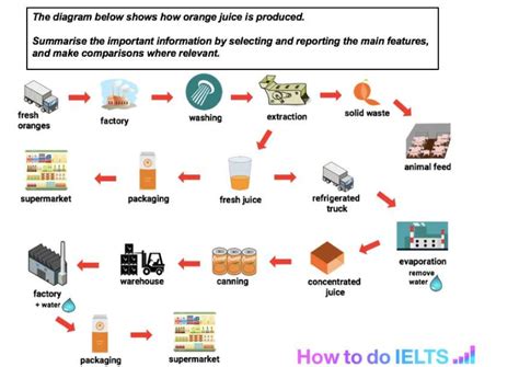 Ielts Writing Task 1 DẠng Process GỢi Ý Cho BÀi Orange Juice