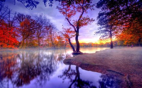 Free Download Autumn Landscape Full Hd Desktop Wallpapers 1080p