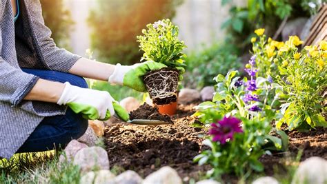 Top Gardening Tips For Beginners Residence Style