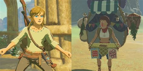 Zelda Breath Of The Wild Player Spends 10 Hours Bringing Four Beedles