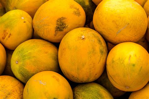 Free photo: Yellow Melons - Cantaloupe, Cantalupe, Food - Free Download ...