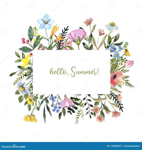 Watercolor Wildflower Frame On White Background Beautiful Summer