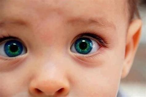 Fotografías De Los Ojos Más Hermosos E Impactantes Del Mundo Imágenes