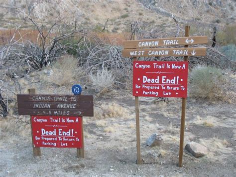 Check spelling or type a new query. Palm Springs, CA: Big Morongo Canyon Preserve | Outdoors ...