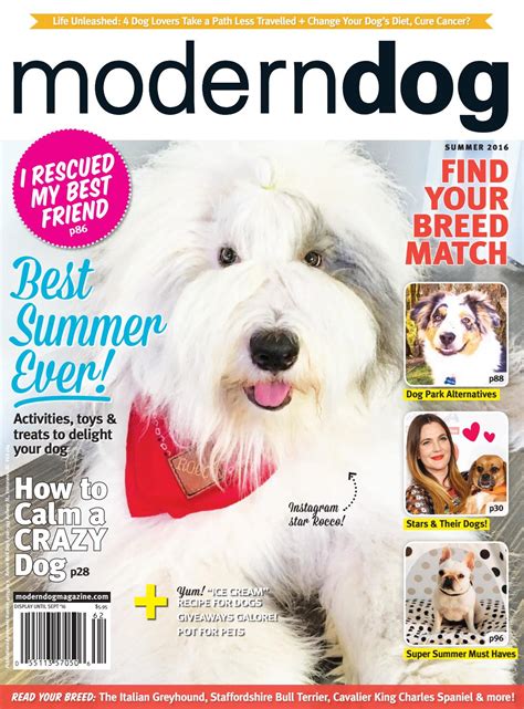 Modern Dog Summer 2016 By Modern Dog Magazine Issuu