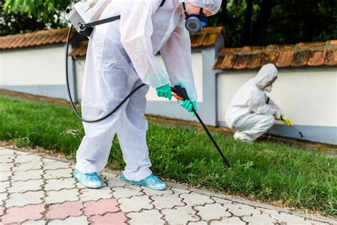 Advertising Strategies For Exterminating And Pest Control Services 2020