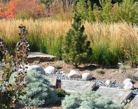 What Is Xeriscaping Lawnstarter