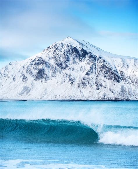 Seascape On The Norway Sea Shore Stock Image Image Of Scene Nature