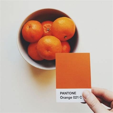 Orange Is The Most Happiest Colour Thats Why We Chose It 🍊🍊🍊🍊🍊🍊🍊🍊🍊🍊