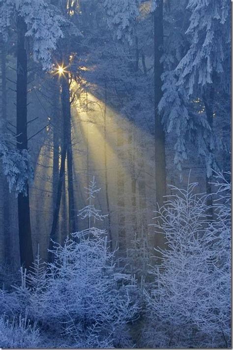 Pin By Connie Regehr On Peaceful Winter Scenes Pinterest