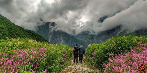 Valley of flowers belongs to the following categories: Valley of Flowers Trek - Trek best valley of colorful ...