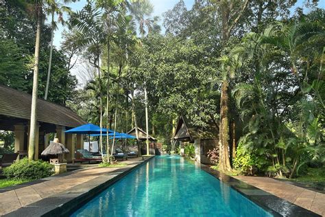 Novotel Bogor Golf Resort And Convention Center Pool Pictures And Reviews
