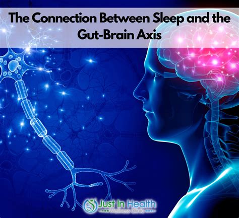 The Connection Between Sleep And The Gut Brain Axis Dr Justin