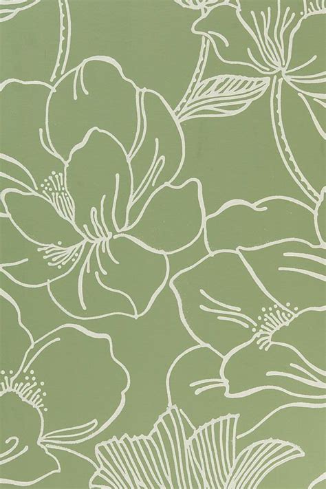 Sage Green Wallpaper Wallpaper Sun