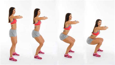 squats the king of exercises the physio lounge blog