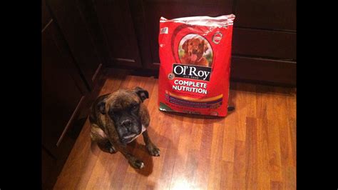 She has become very lethargic and can't stop throwing up. Ol' Roy Complete Nutrition Dog Food Review - YouTube