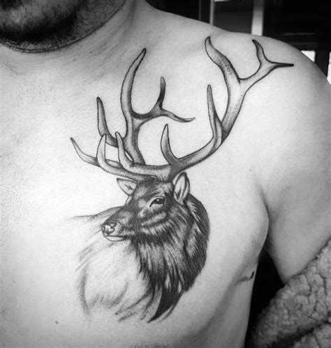 90 Elk Tattoo Ideas For Men Cervidae Animal Designs