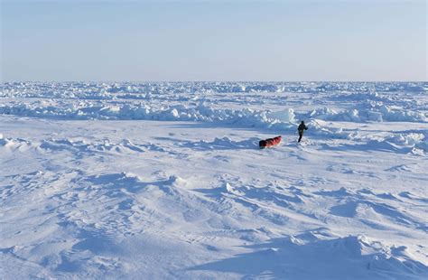 Download Lone Person Exploring The North Pole Picture