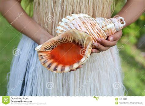 cook islander woman holds a conch shell horn in rarotonga cook i stock image image of seashell