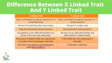 Difference Between X Linked Trait And Y Linked Trait Sex Linked