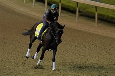 Kentucky Derby Preview Tiz The Law Or The Field Wtop News