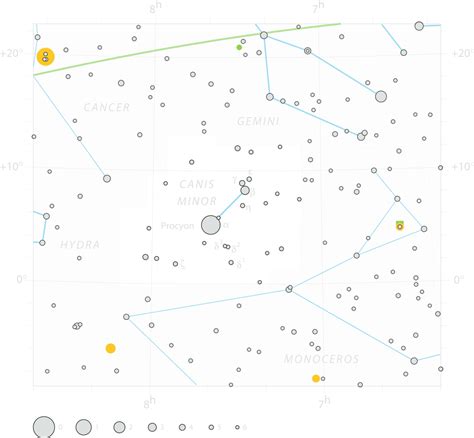 Canis Minor The Lesser Dog Constellation