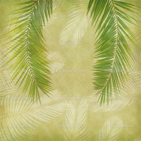 Palm With Set Of Abstract Painted Background — Stock Photo © Firefox