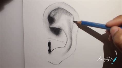 Cómo Dibujar Una Oreja Pt1 How To Draw An Ear Part 1 Youtube