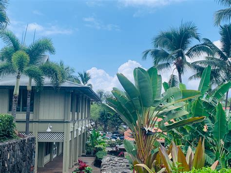 Coconut Grove Marketplace