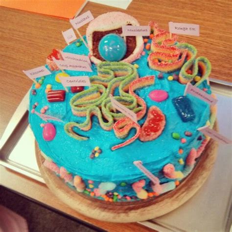 Suggested candy for an edible cell model. My friends cake cell model! | Cell model, Animal cell ...